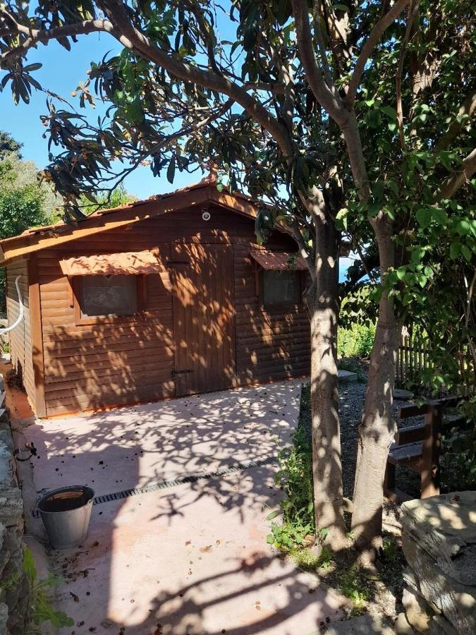 Casa Di Patouria , Stenies Andros Apikia  المظهر الخارجي الصورة