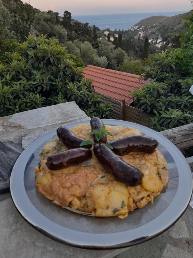 Casa Di Patouria , Stenies Andros Apikia  المظهر الخارجي الصورة